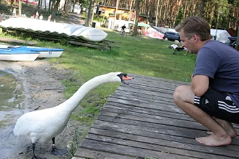 KORMORAN - feriecenter